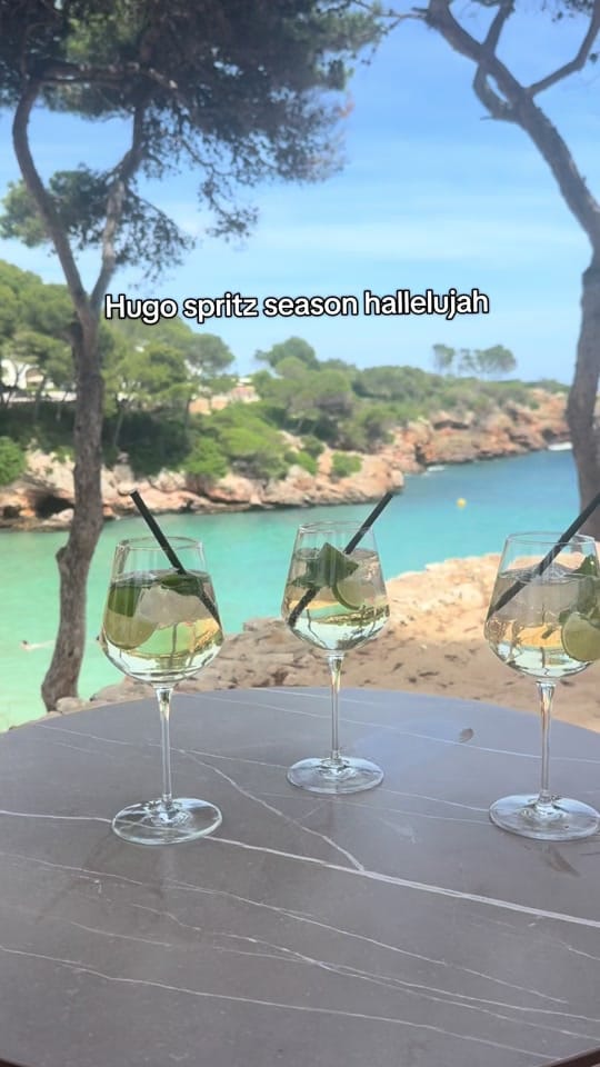Post 1 by Hannah Shanahan on TikTok (video)