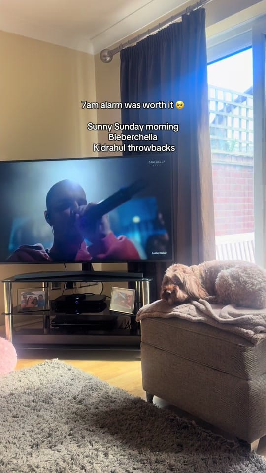 Post 7 by Hannah Shanahan on TikTok (video)