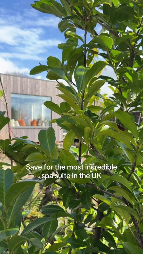 Post 4 by Polly Dunseath on TikTok (video)