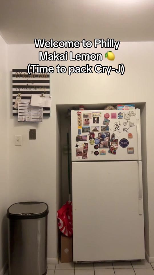 Post 4 by Chelsea Lynn on TikTok (video)