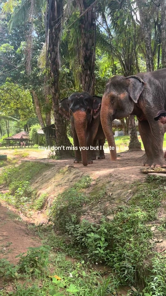 Post 6 by Eveealex on TikTok (video)