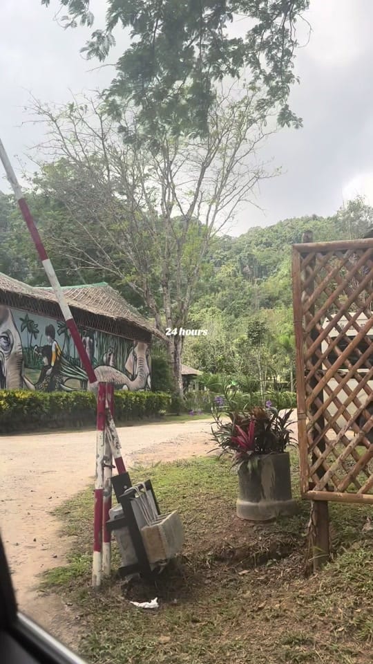 Post 2 by Eveealex on TikTok (video)