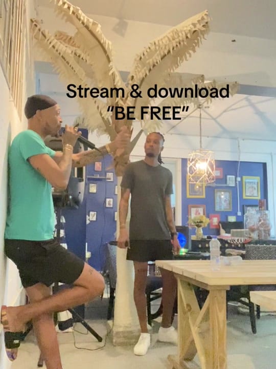 Post 5 by Oneikonn on TikTok (video)