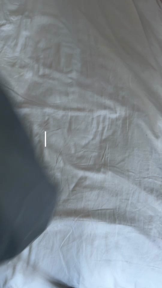 Post 3 by meg simmons on TikTok (video)