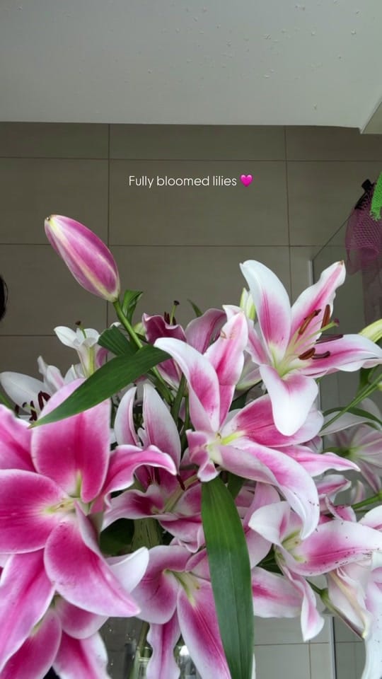 Post 5 by Henriette on TikTok (video)