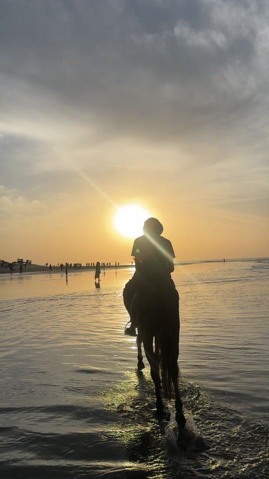 Post 9 by Henriette on TikTok (video)