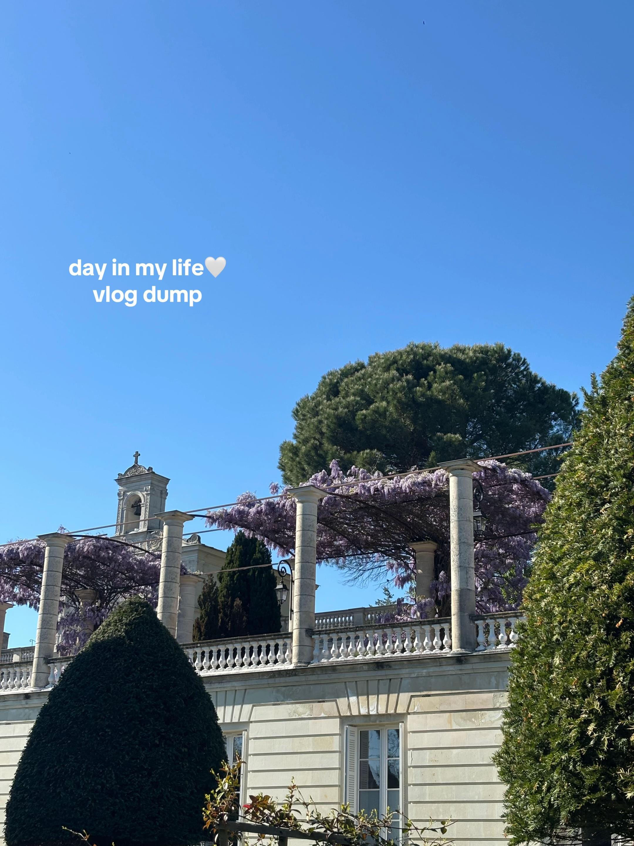 Post 3 by Elisa 🪩 on TikTok (video)