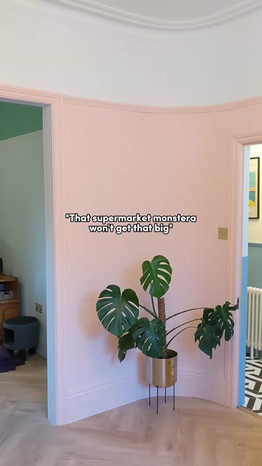 Post 1 by Sharn's House on TikTok (video)