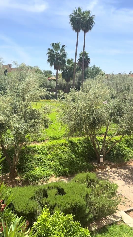 Post 3 by Laura Udba on TikTok (video)