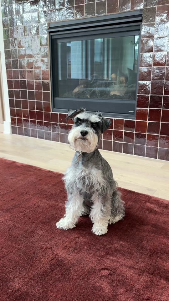 Post 8 by awilkyy on TikTok (video)