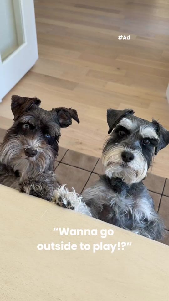 Post 4 by awilkyy on TikTok (video)