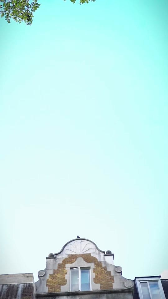 Post 4 by Bun & Sum on TikTok (video)
