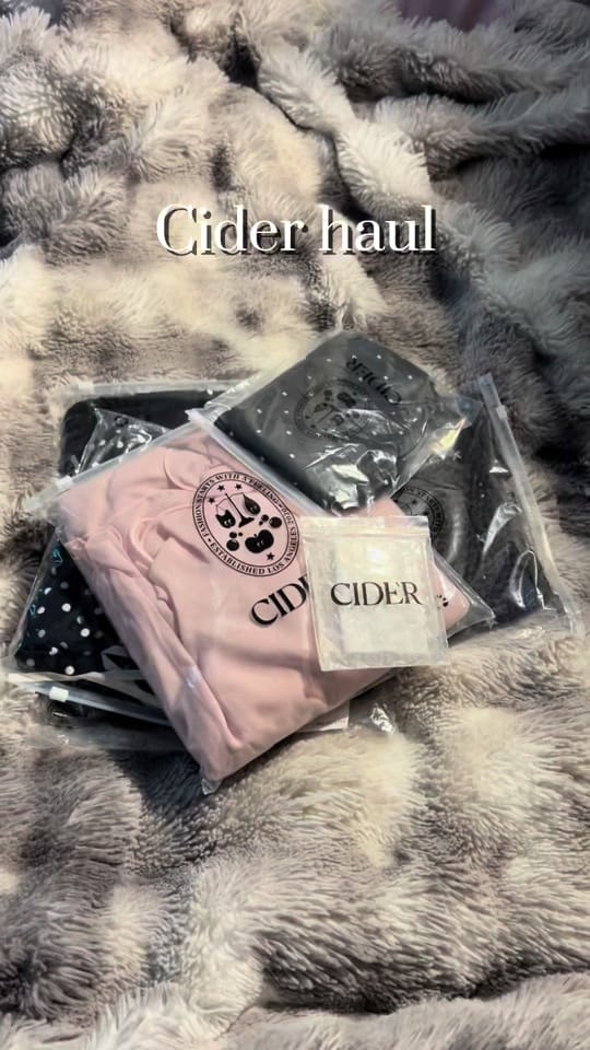 Post 5 by jess on TikTok (video)