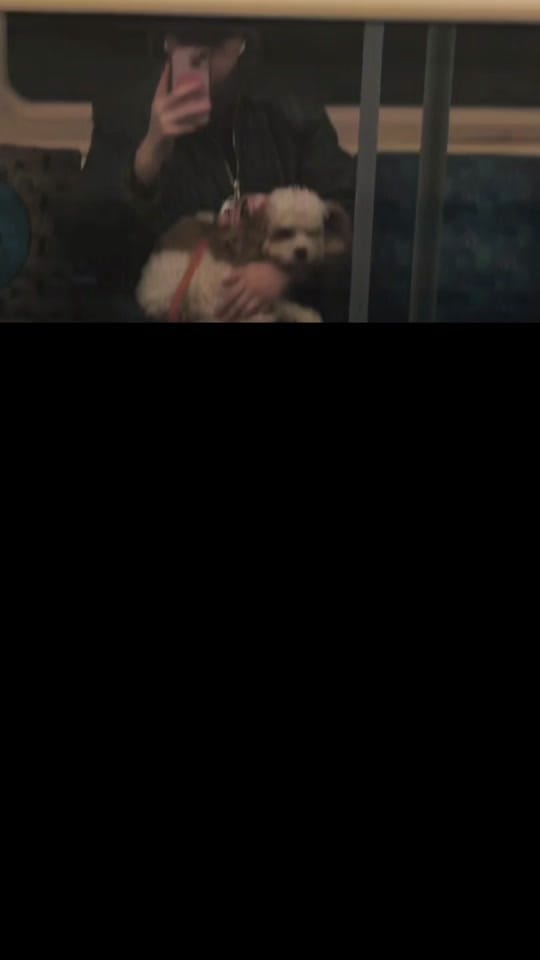 Post 10 by Madeline Elizabeth on TikTok (video)
