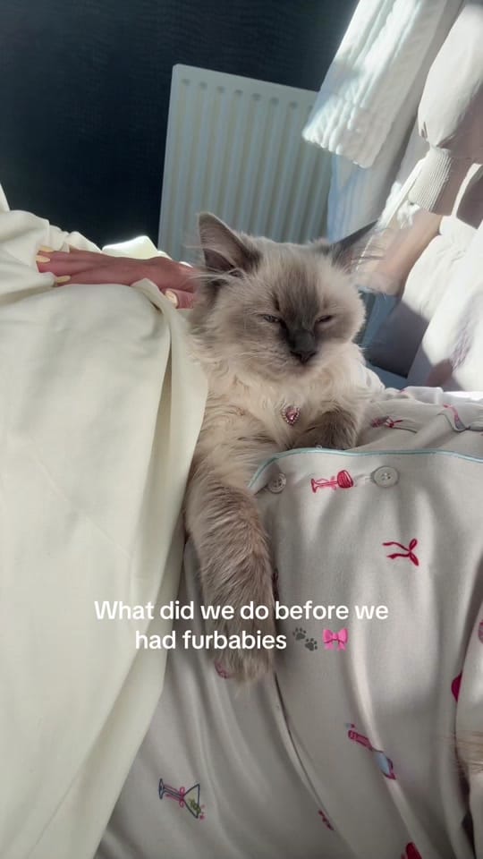 Post 4 by Stephanie Tait 🤍 on TikTok (video)
