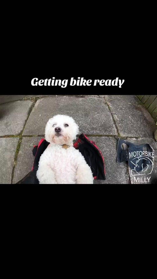 Post 8 by Motorbike Milly on TikTok (video)