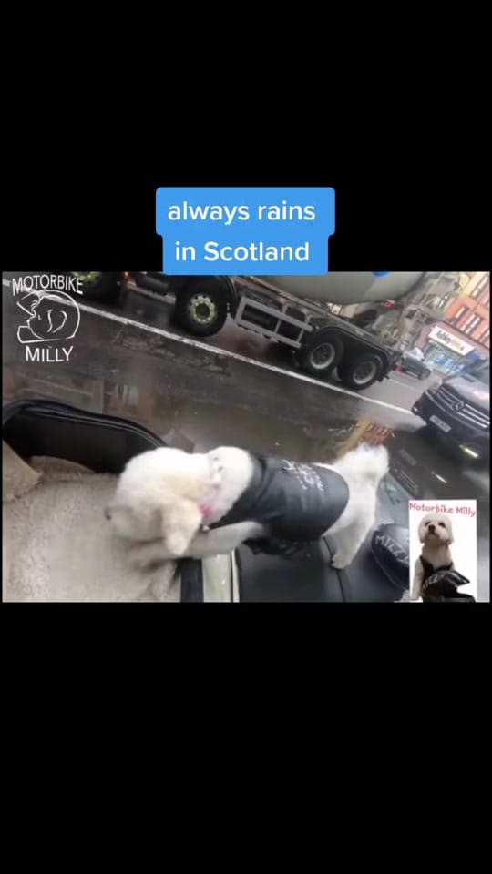 Post 9 by Motorbike Milly on TikTok (video)