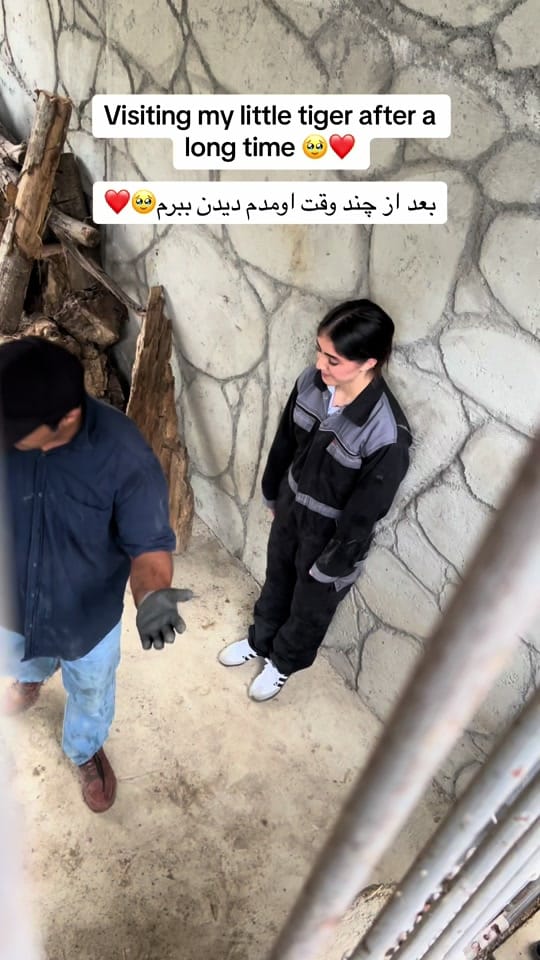 Post 10 by sba.jvn on TikTok (video)