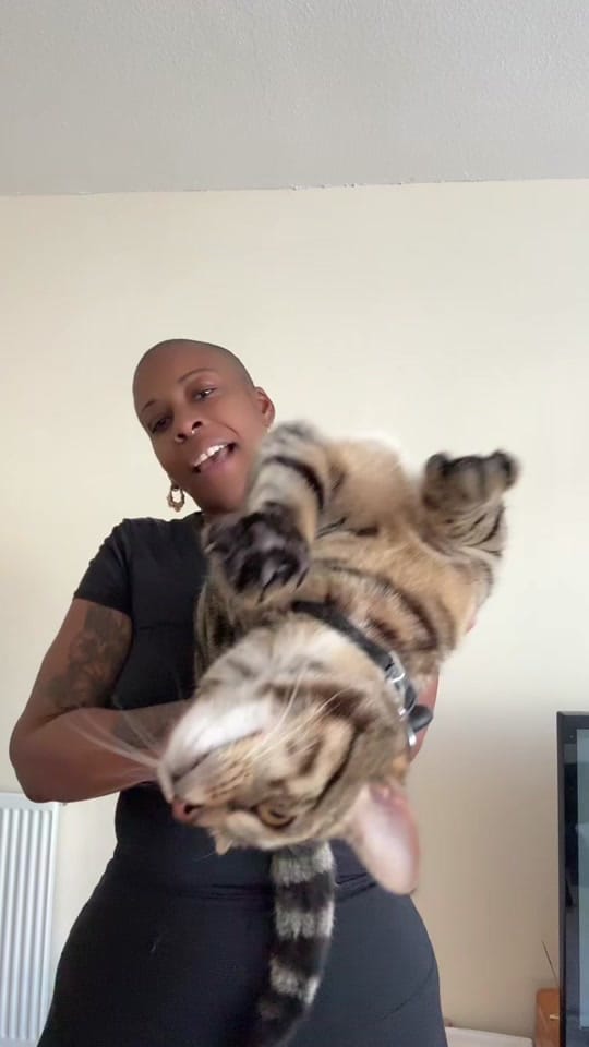 Post 3 by Elayne Peddy on TikTok (video)