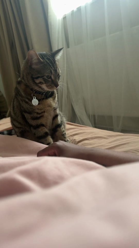 Post 7 by Elayne Peddy on TikTok (video)