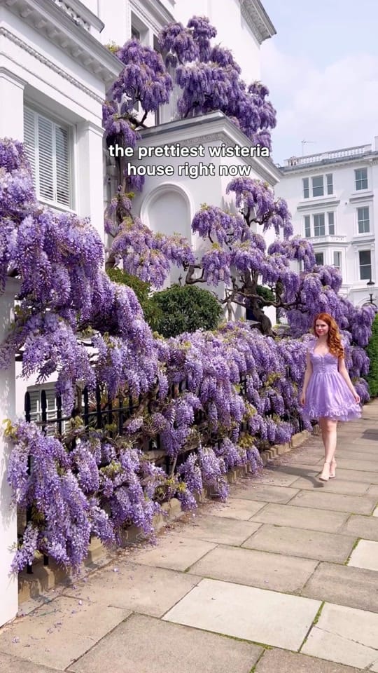 Post 2 by Ticija on TikTok (video)