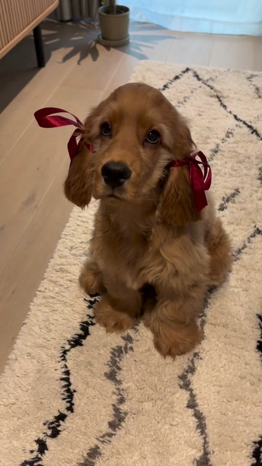 Post 9 by Ksenia on TikTok (video)