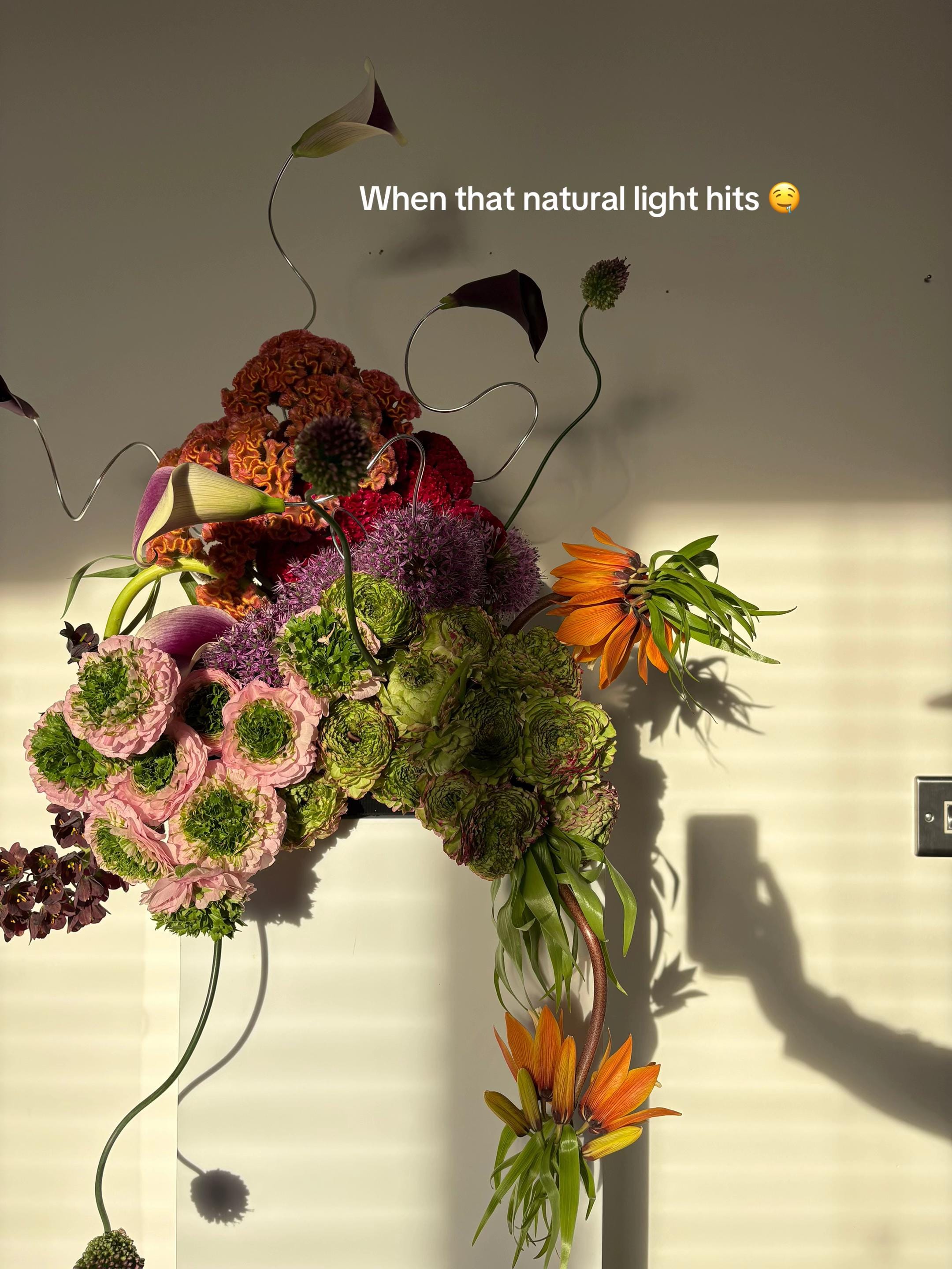 Post 6 by ross the florist on TikTok (video)