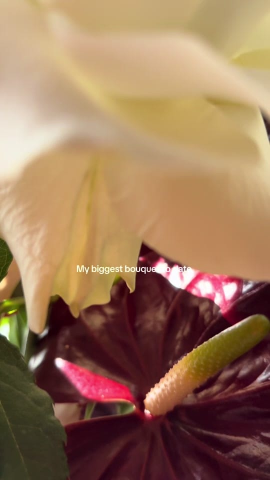 Post 3 by ross the florist on TikTok (video)