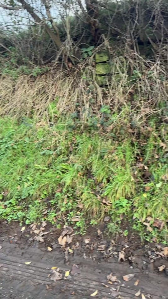 Post 5 by matildayoungx on TikTok (video)