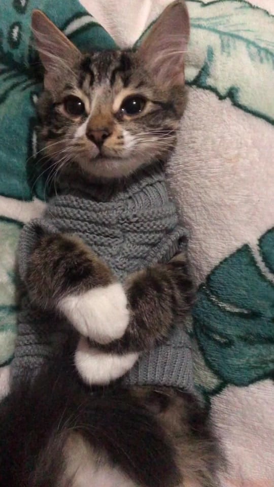 Post 10 by Zainah ♡ on TikTok (video)