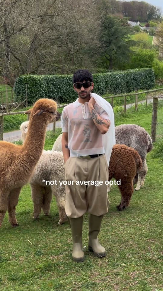 Post 3 by casoperdido on TikTok (video)