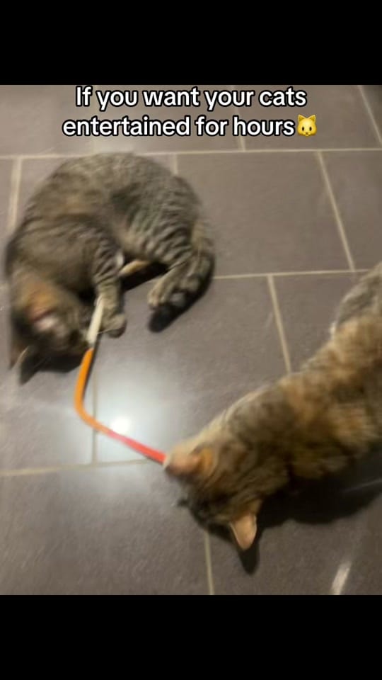 Post 8 by Chelsea Barbee on TikTok (video)