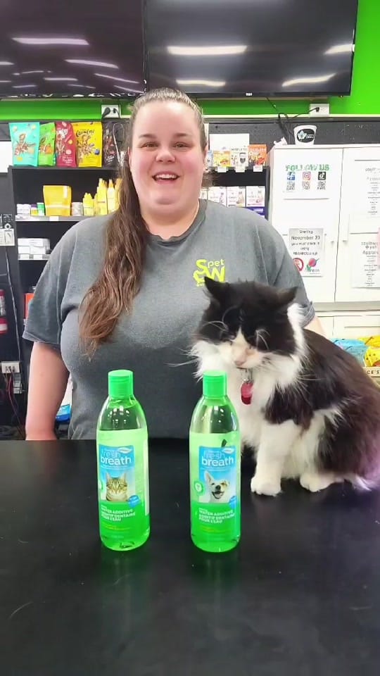 Post 3 by Southwest pet team🦎 on TikTok (video)