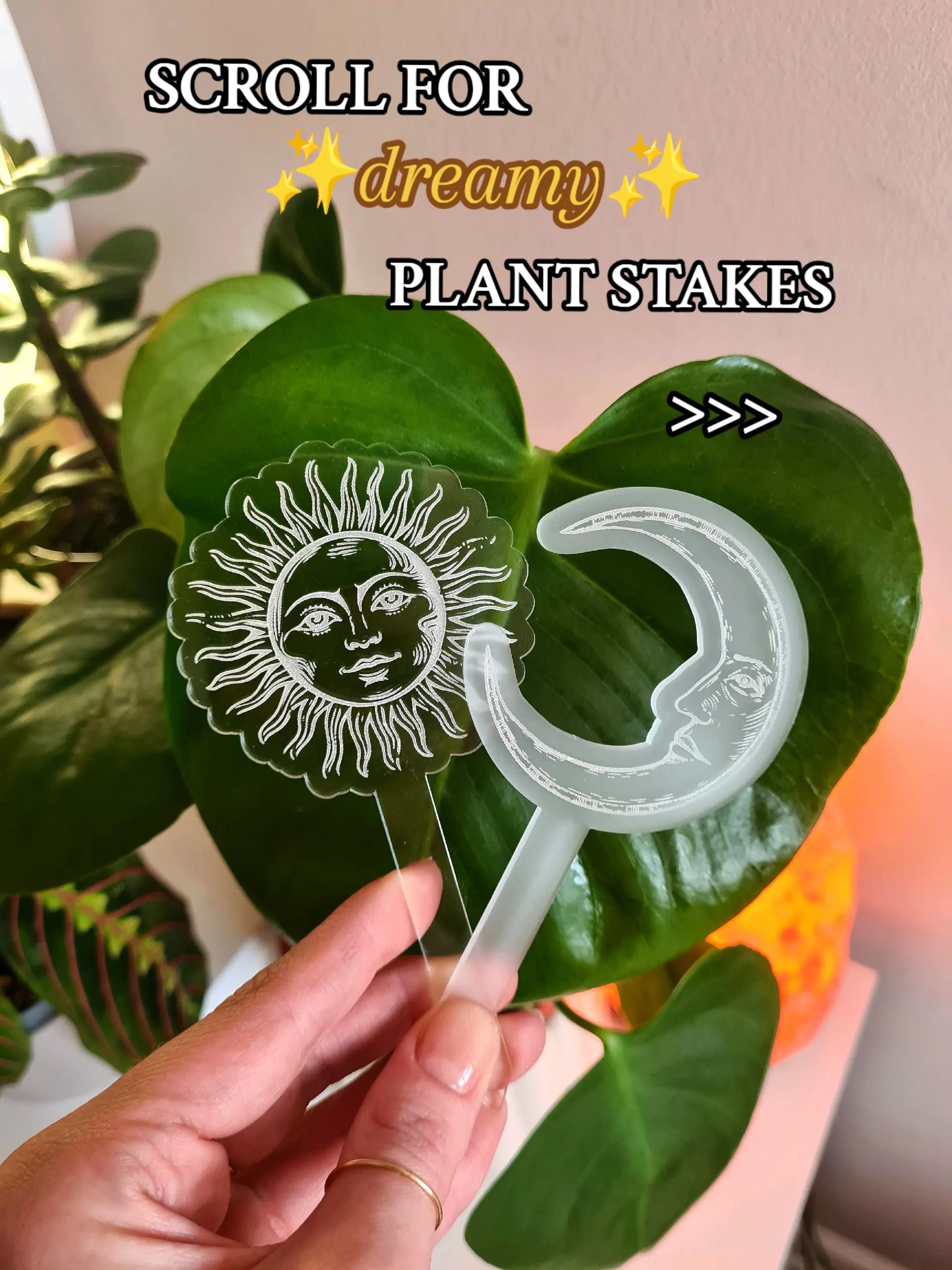 Post 3 by Katie Leigh Art on TikTok (video)