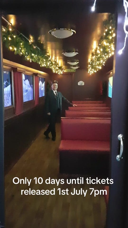 Post 9 by Magical_Christmas_Shop on TikTok (video)