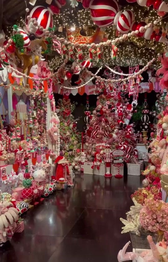 Post 10 by Magical_Christmas_Shop on TikTok (video)