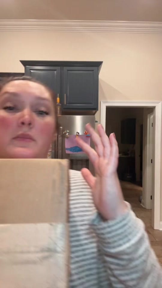 Post 4 by Chelsea - Chaos Coordinator on TikTok (video)