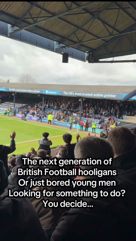 Post 3 by Steptoe And Mum on TikTok (video)