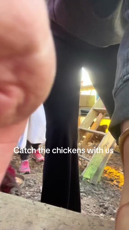 Post 4 by Lily on TikTok (video)