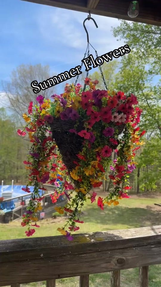 Post 3 by Sondra on TikTok (video)