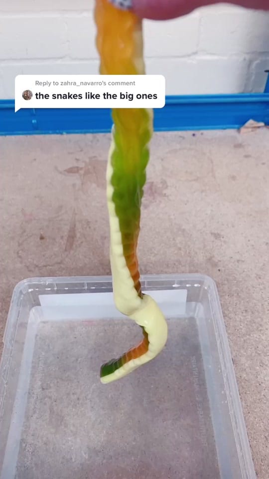 Post 10 by Jessicas Sweets on TikTok (video)