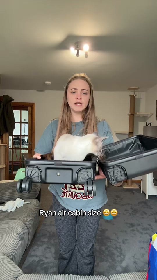 Post 2 by Chelsea 👱🏻‍♀️👶🏼❄️ on TikTok (video)