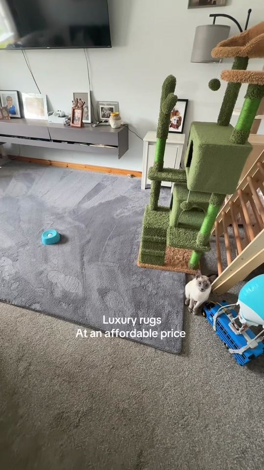 Post 1 by Chelsea 👱🏻‍♀️👶🏼❄️ on TikTok (video)