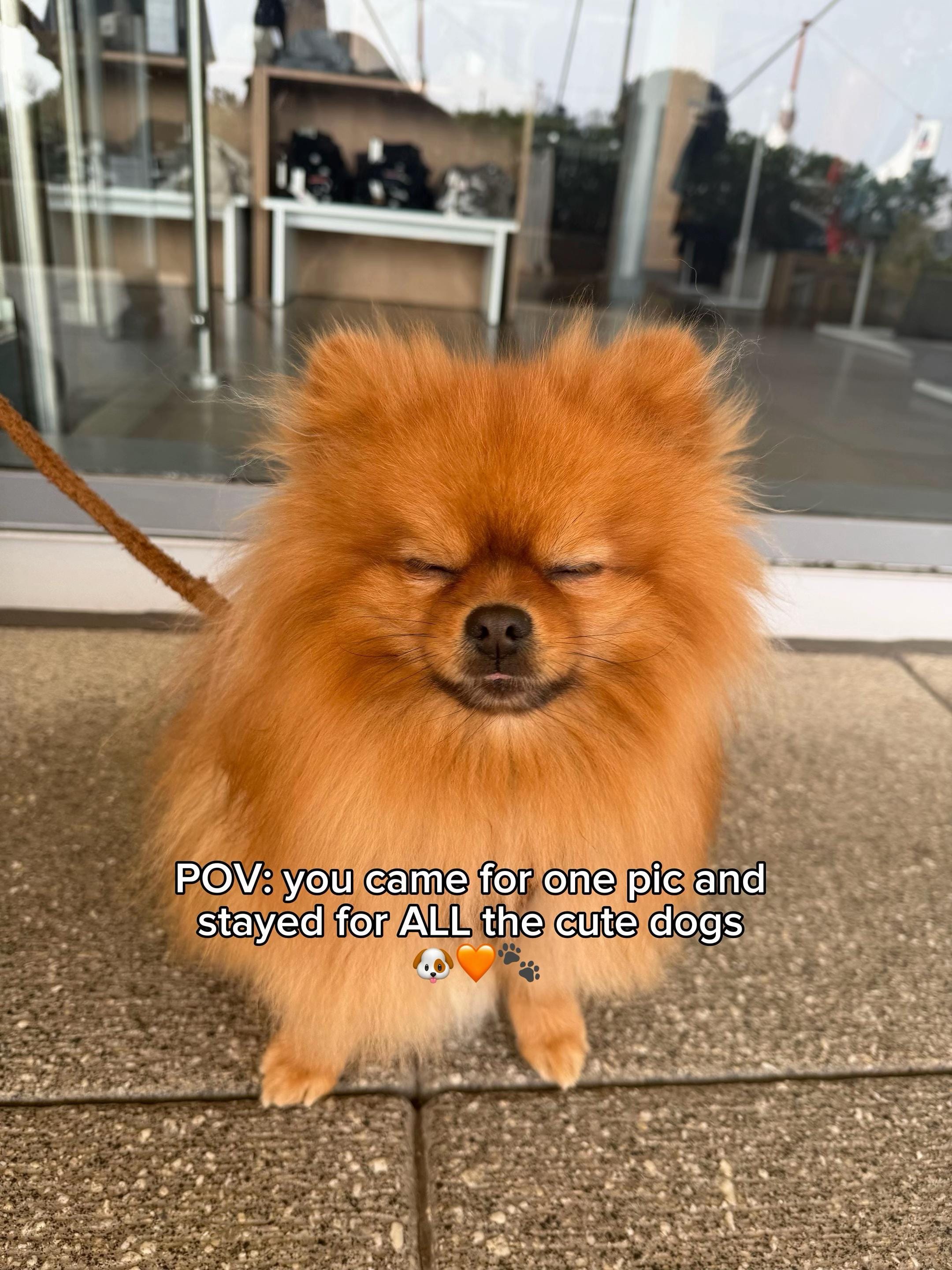Post 8 by Ashford Designer Outlet on TikTok (video)
