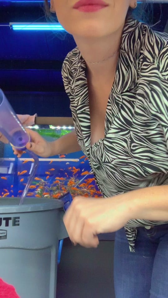 Post 10 by AdventurePets_KY on TikTok (video)