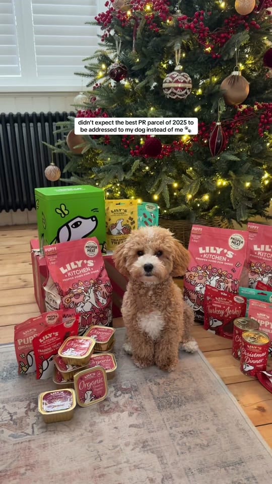 Post 10 by soph & ollie ✨ on TikTok (video)
