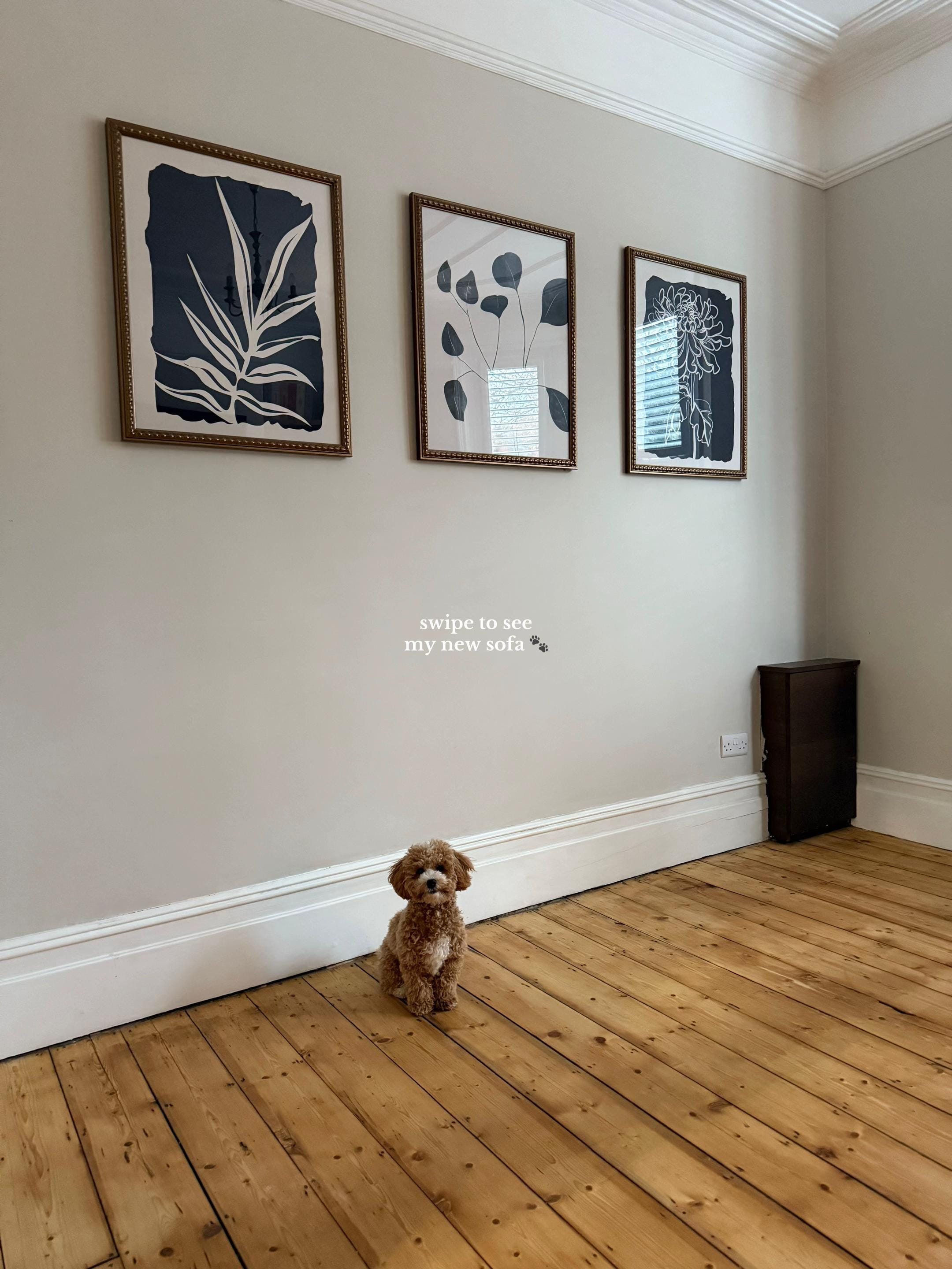 Post 1 by soph & ollie ✨ on TikTok (video)