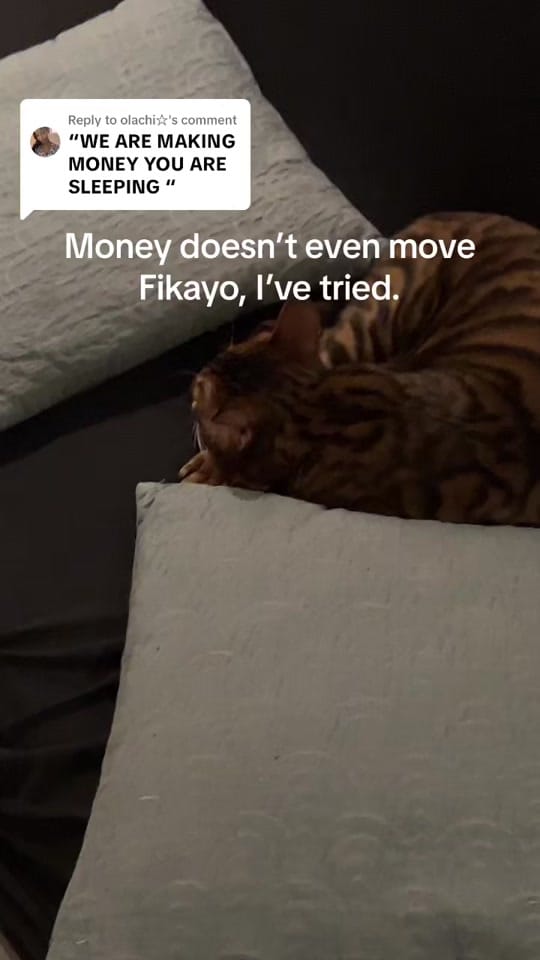 Post 5 by Lateefsaka on TikTok (video)