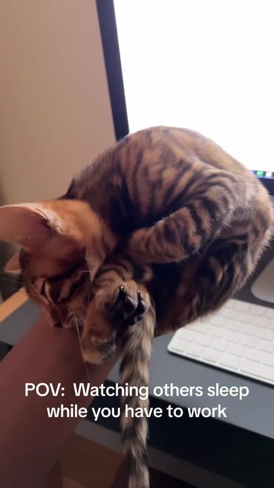 Post 6 by Lateefsaka on TikTok (video)