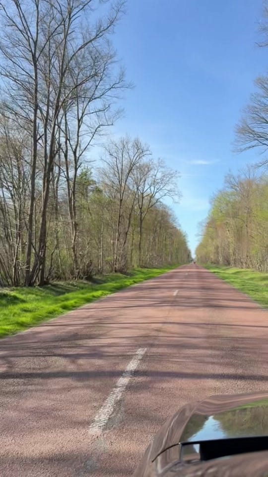 Post 3 by Geex on TikTok (video)